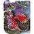 Dinossauro Dragao 16CM Cartela - Imagem 5
