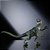 Boneco e Personagem JW Hammond Velociraptor Delta - Imagem 5