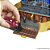 Polly Pocket Micro Estojo HARRY Potter Collector - Imagem 4