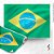 TNT Estampado 1,40M 40G Bandeira do Brasil 30 Paineis RL-25MTS - Imagem 2