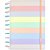 Caderno Inteligente Grande ARCO IRIS 10 Materias 140FLS - Imagem 6