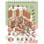 Livro com Adesivos Cenario Construa Seu Mundo - Imagem 8