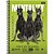 Caderno 20 X 1 Capa Dura Hard DOG 320 Folhas Pacote com 02 - Imagem 2