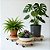 Suporte para Vaso de Planta com Rodízios Madeira Redondo Móvel 18 a 28cm - Fácil de Mover - Imagem 4