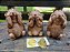 Trio de Esquilos Sábios 12cm | Castanho - Imagem 1