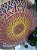Mandala Duo Torus Gold Sunset (do 30cm ao 90cm) - Imagem 7