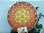 Mandala Duo Flower of Life | Tons quentes (do 25cm ao 90cm) - Imagem 3