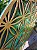 Mandala Duo Flower of Life | Tons de verde (do 25cm ao 90cm) - Imagem 6