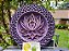 Mandala 3D 8C Flor de Lótus | Chama Violeta (do 25cm ao 90cm) - Imagem 2