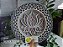 Mandala 3D 8C Flor de Lótus | Candy Colors (do 25cm ao 90cm) - Imagem 1