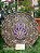 Mandala 3D 7C Mão de Hamsa 40cm | Violeta - Imagem 3