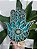 Mão de Hamsa 3D 20cm | Verde turquesa e dourado - Imagem 1