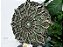 Mandala 3D 7C Hera | Paleta Terra (do 30cm ao 80cm) - Imagem 5