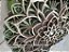Mandala 3D 9C Dhalia | Verde, mahogany e off white (do 25cm ao 90cm) - Imagem 5