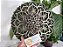 Mandala 3D 9C Dhalia | Verde, mahogany e off white (do 25cm ao 90cm) - Imagem 11