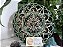 Mandala 3D 5C Cubo de Metatron  | Verde vazado (do 25cm ao 90cm) - Imagem 3