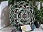 Mandala 3D 5C Cubo de Metatron  | Verde vazado (do 25cm ao 90cm) - Imagem 7
