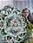 Mandala 3D 5C Cubo de Metatron  | Verde vazado (do 25cm ao 90cm) - Imagem 1