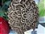 Mandala 3D 9C Dhalia | Tons de ouro (do 25cm ao 90cm) - Imagem 5