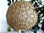 Mandala 3D 9C Dhalia | Tons de ouro (do 25cm ao 90cm) - Imagem 2