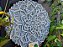 Mandala 3D 9C Dhalia | Off White (do 25cm ao 90cm) - Imagem 4