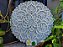 Mandala 3D 9C Dhalia | Off White (do 25cm ao 90cm) - Imagem 3