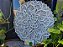Mandala 3D 9C Dhalia | Off White (do 25cm ao 90cm) - Imagem 5