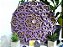 Mandala 3D 6C Agnes (do 25cm ao 90cm) - Imagem 3