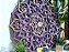 Mandala 3D 6C Agnes (do 25cm ao 90cm) - Imagem 5