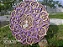 Mandala 3D 6C Agnes (do 25cm ao 90cm) - Imagem 12