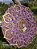 Mandala 3D 6C Agnes (do 25cm ao 90cm) - Imagem 17