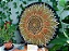 Mandala Duo Girassol (do 40cm ao 90cm) - Imagem 9