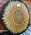 Mandala Duo Girassol (do 40cm ao 90cm) - Imagem 4