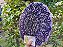 Mandala Duo Lavanda (do 25cm ao 90cm) - Imagem 9
