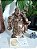 Monge Hotei (Buda Gordo) 19cm | Bronze - Imagem 3