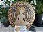 Mandala Duo Nirvana 7 Chakras (do 25cm ao 90cm) - Imagem 2