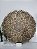 Mandala 3D 7C Flor de Gaia & Flor da Vida | Dourada - Imagem 10