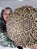 Mandala 3D 7C Flor de Gaia & Flor da Vida | Dourada - Imagem 4