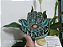Mão de Hamsa 3D 5C Verde Turquesa (do 20cm ao 90cm) - Imagem 3
