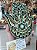 Mão de Hamsa 3D 5C Verde (do 20cm ao 90cm) - Imagem 4