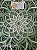 Mandala 3D 9C Dhalia | Garden (do 25cm ao 90cm) - Imagem 2