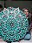 Mandala 3D 6C Oasis 80cm - Imagem 1