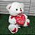Urso De Pelucia Pequeno Dia Dos Namorados Com Coração - Imagem 5