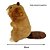 Castor de Pelúcia 30cm Fizzy Toys com Tecido Antialérgico - Imagem 5