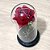 Rosa na Cúpula de Vidro com Luz de LED Disney DCY1023 Presente Romântico e Decorativo - Imagem 5