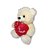 Ursinho de Pelúcia Fizzy Toys FC2597 Creme - Imagem 3