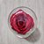 Rosa na cúpula de Vidro Luzes de Led 6475 Rosa Vermelha - Imagem 3