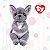 Bicho de Pelúcia Ty Beanie Bellies Wilfred – Cachorrinho Cinza Fofo da Toyng com Olhos Brilhantes! - Imagem 3