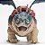 Boneco Gronckle Batatão + Perna de Peixe Como Treinar Dragão Sunny - Imagem 6