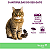 VECTRA 3D GATOS 0,8ML ATE 10KG 3UN - Imagem 5